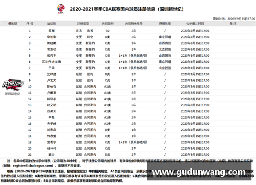 2013-14 NBA赛季排名全面解析：球队表现与关键数据回顾