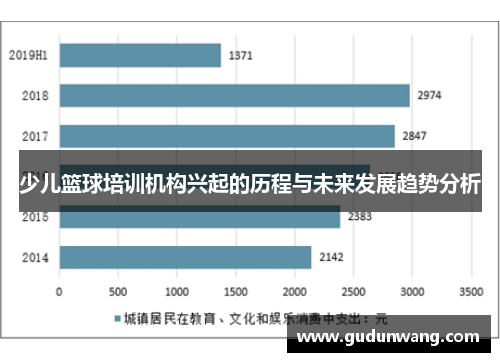 少儿篮球培训机构兴起的历程与未来发展趋势分析